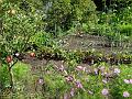 2014-0806-1310_Garden_23,3C